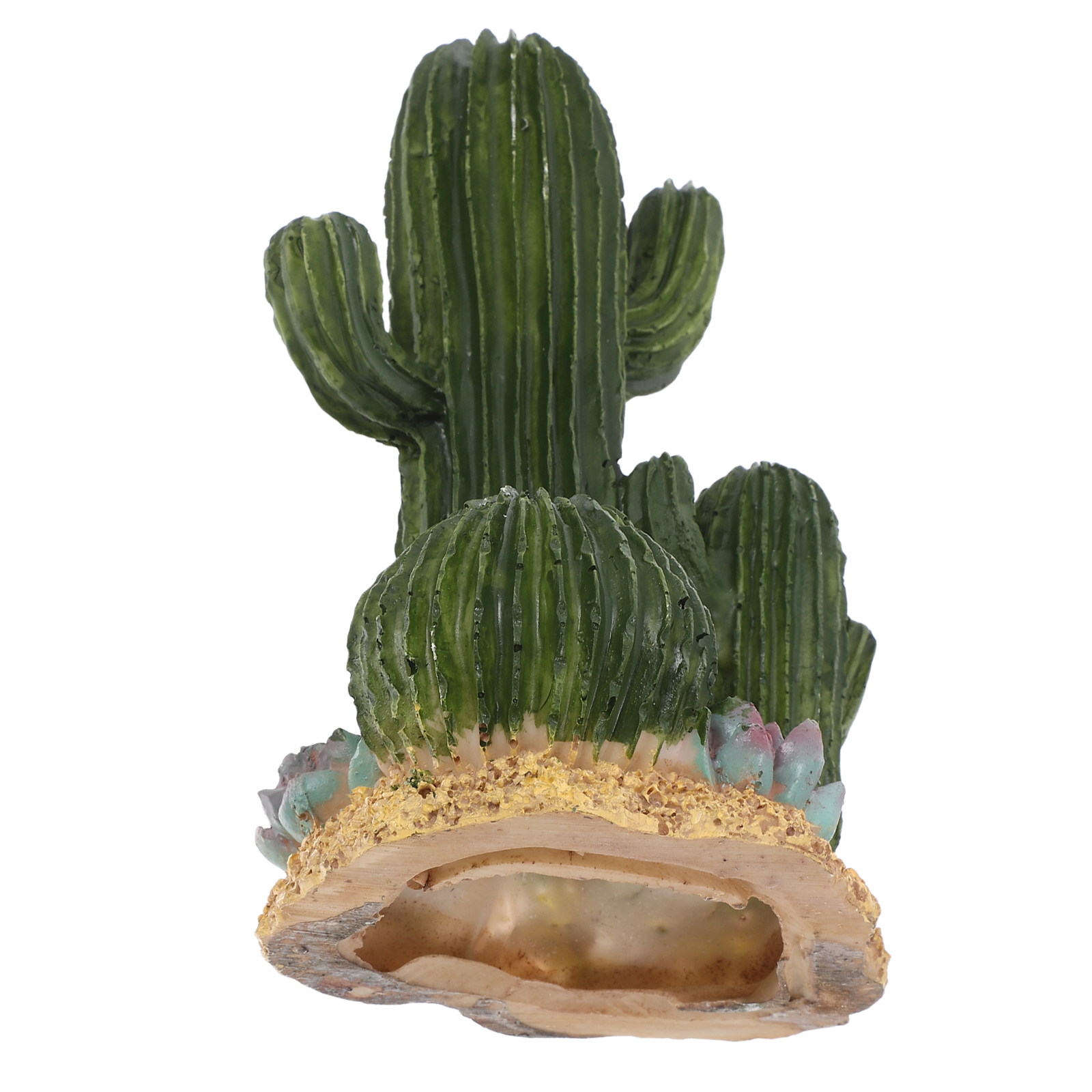 Terrarium Moss Art - Planta de Cactus Artificial Grande, Decoración