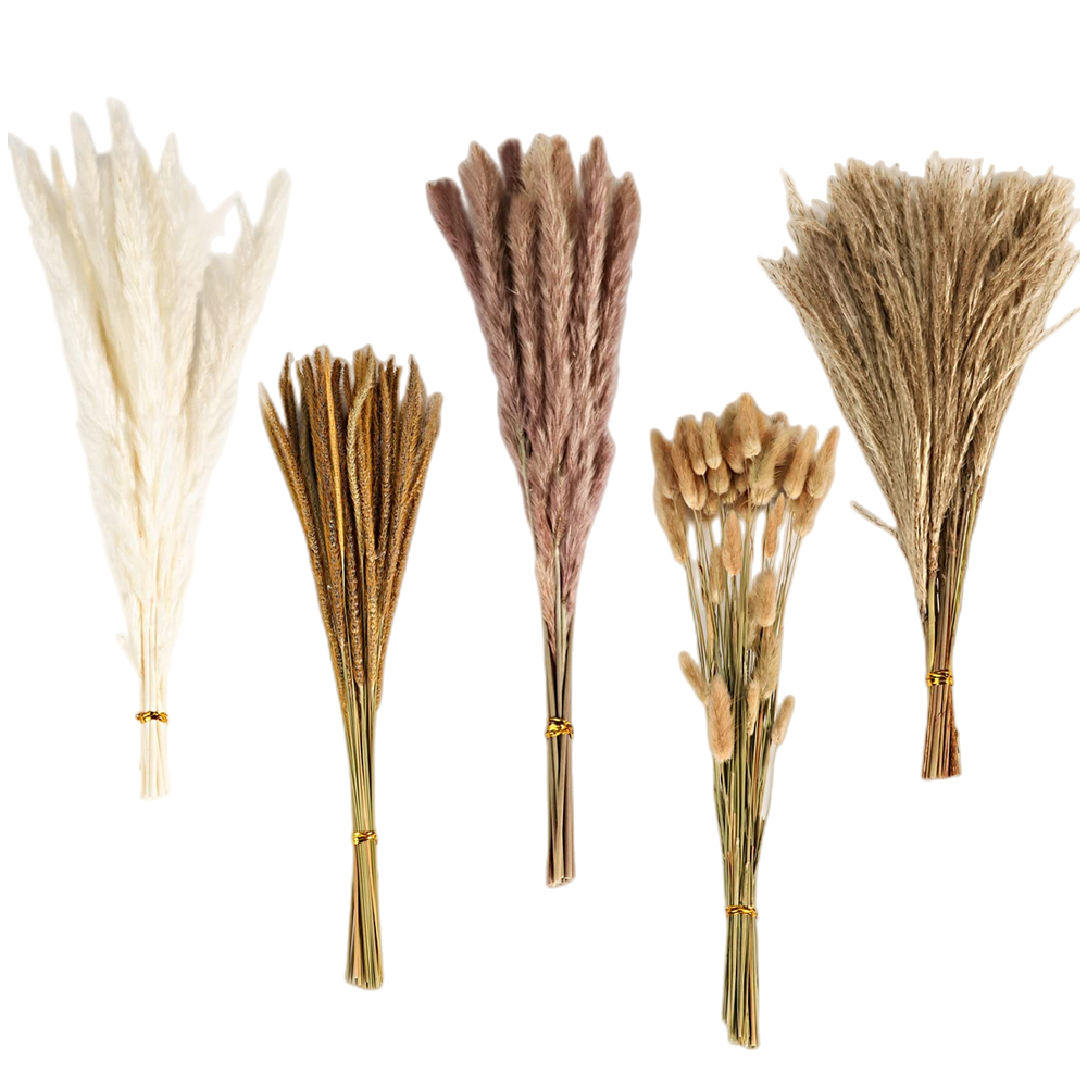Dried Flower Bulk - Ramo de Flores Secas Mixtas Vintage