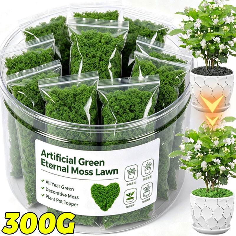 Terrarium Moss Art - Plantas Verdes Artificiales, Musgo de Vida