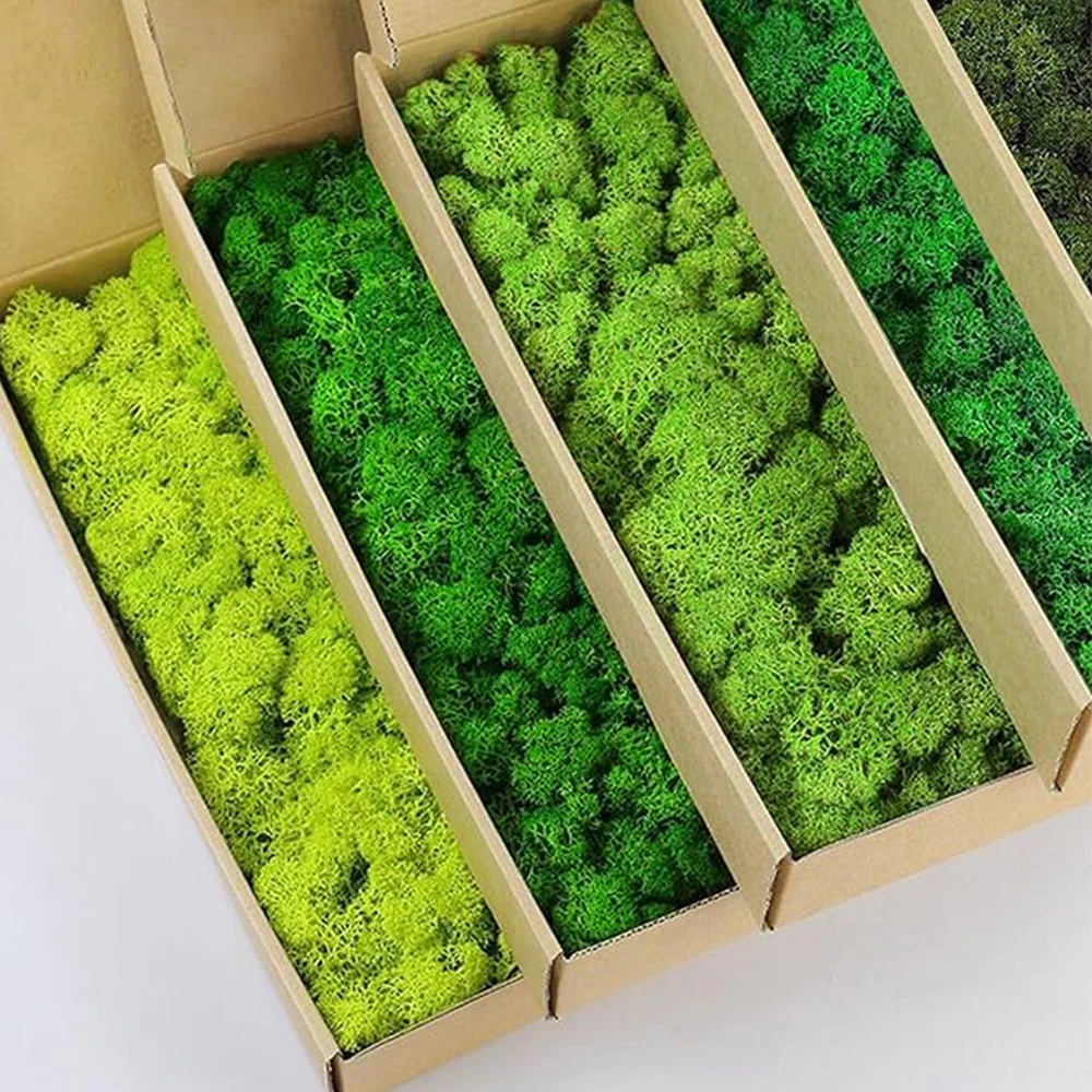 Plantas verdes artificiales de - Terrarium Moss Art reseña y precio