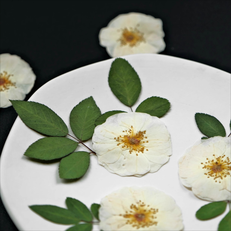 6 uds.,9 Uds., flores prensada - Dried Flower Bulk reseña y precio