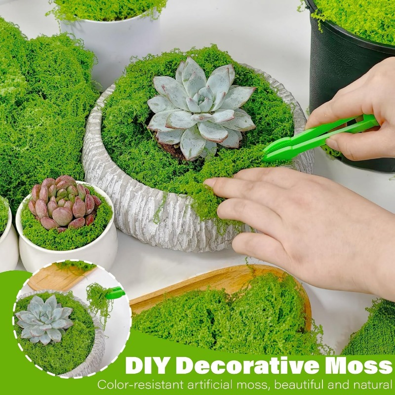 Plantas Verdes Artificiales, M - Terrarium Moss Art reseña y precio